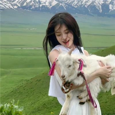 假面骑士利维斯